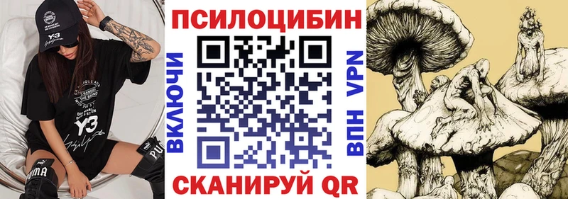 Псилоцибиновые грибы GOLDEN TEACHER продажа наркотиков Курчалой