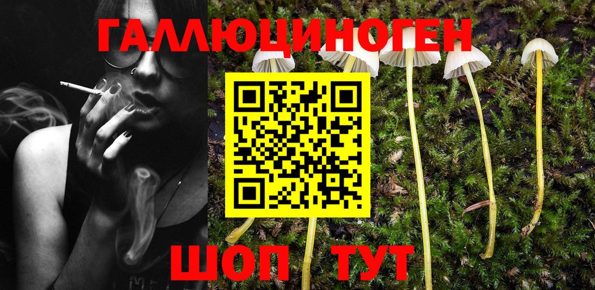 Псилоцибиновые грибы прущие грибы  Вход с VPN  Курчалой 