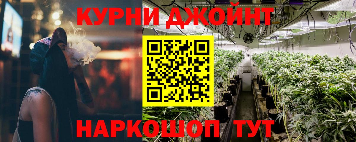 Бошки Шишки Amnesia Курчалой